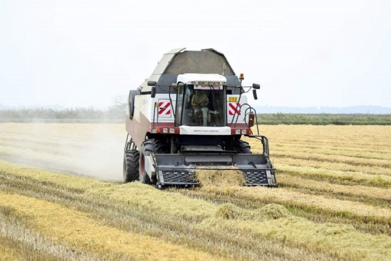 В России ожидается снижение урожая риса